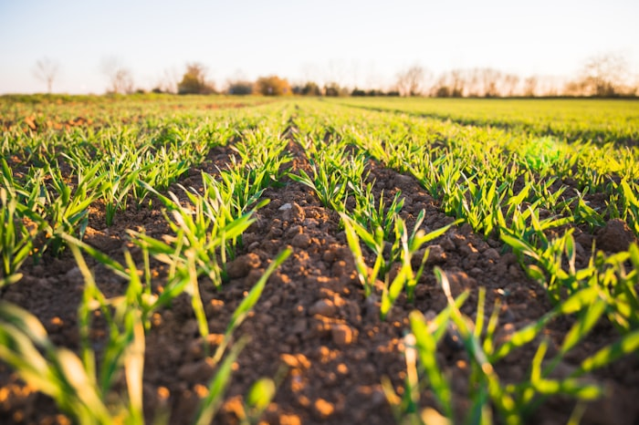 Ekhande Agro Fertilizers