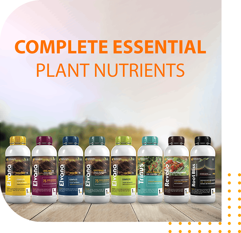 Ekhande Agro Fertilizers